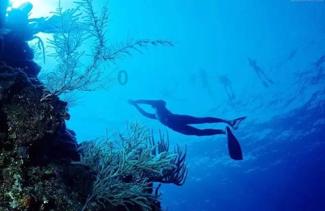 三亚: 海棠湾园区挂牌1宗宅地,起始价24.4亿元